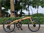 Xe đạp gấp DAHON Vybe D7 20
